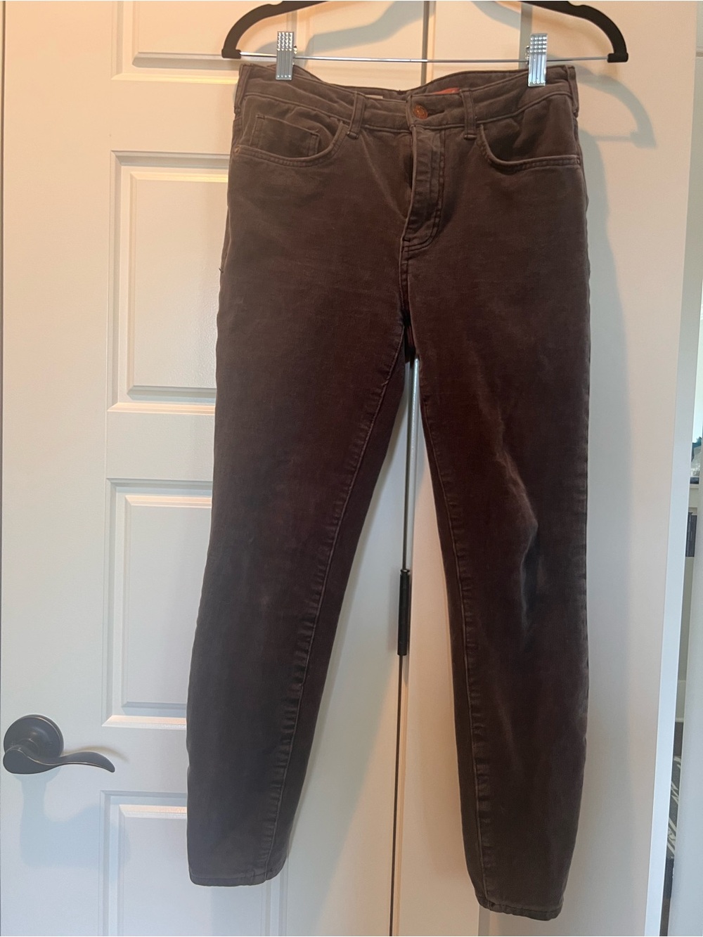 Pilcro Slim Corduroy Pants in Deep Brown